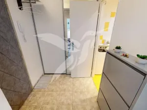 Pronájem bytu 1+kk, Praha - Chodov, Brodského, 33 m2