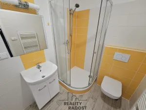 Pronájem bytu 1+1, Hodonín, Štefánikova, 45 m2