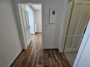 Pronájem bytu 1+1, Hodonín, Štefánikova, 45 m2