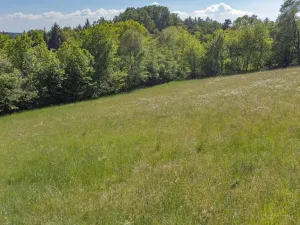 Prodej pozemku pro bydlení, Sušice - Záluží, 3500 m2