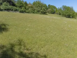 Prodej pozemku pro bydlení, Sušice - Záluží, 3500 m2