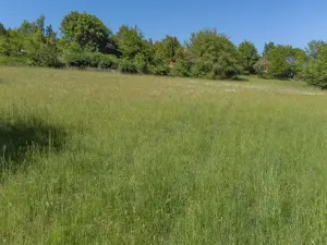 Prodej pozemku pro bydlení, Sušice - Záluží, 3500 m2