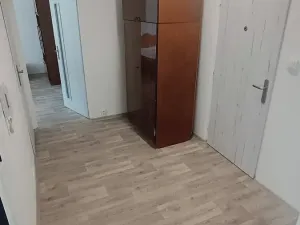 Pronájem bytu 2+1, Plasy, Babinská, 58 m2