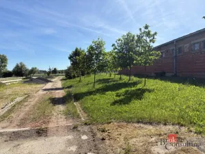 Pronájem skladu, Měník, 500 m2