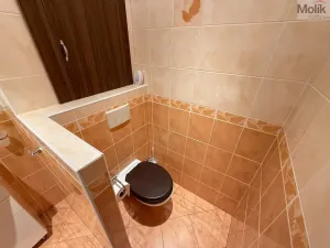 Pronájem bytu 2+1, Most, Zdeňka Štěpánka, 50 m2