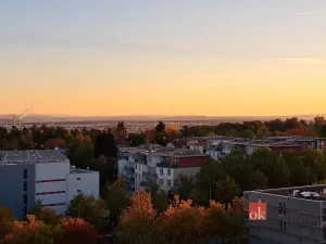 Prodej bytu 1+1, Plzeň - Bolevec, Žlutická, 46 m2