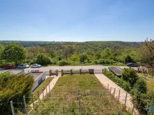 Pronájem rodinného domu, Roztoky, Nad vinicemi, 393 m2
