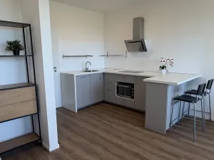 Pronájem bytu 1+kk, Praha - Černý Most, Arnošta Valenty, 38 m2