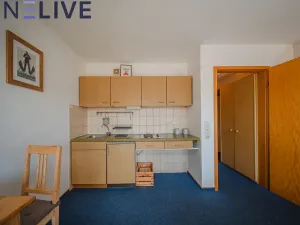 Prodej bytu 1+kk, Železná Ruda - Alžbětín, Německo, 25 m2