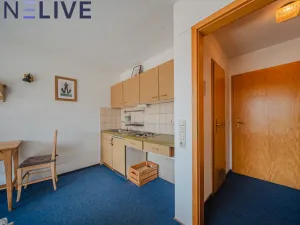 Prodej bytu 1+kk, Železná Ruda - Alžbětín, Německo, 25 m2