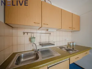 Prodej bytu 1+kk, Železná Ruda - Alžbětín, Německo, 25 m2