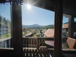 Prodej bytu 1+kk, Železná Ruda - Alžbětín, Německo, 25 m2