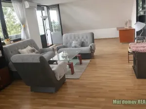 Pronájem bytu 3+1, Praha - Hodkovičky, Údolní, 115 m2
