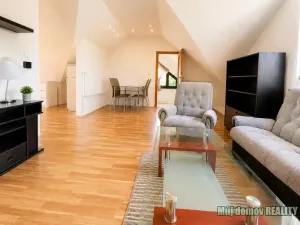 Pronájem bytu 3+1, Praha - Hodkovičky, Údolní, 115 m2