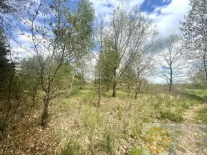 Prodej pozemku pro bydlení, Soběslav - Soběslav III, Wilsonova, 1132 m2