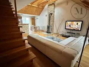 Pronájem bytu 3+kk, České Budějovice, Branišovská, 140 m2