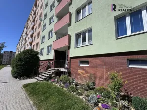 Pronájem bytu 2+1, Ostrov, Jungmannova, 59 m2