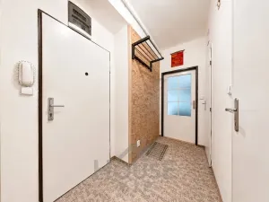 Prodej bytu 1+1, Brandýs nad Labem-Stará Boleslav, Sídliště, 33 m2
