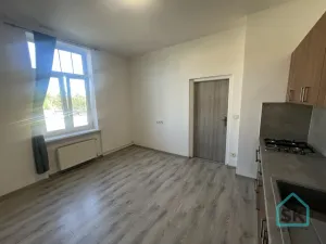 Prodej bytu 1+1, Krnov - Pod Bezručovým vrchem, K Můstku, 52 m2