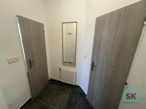 Prodej bytu 1+1, Krnov - Pod Bezručovým vrchem, K Můstku, 52 m2