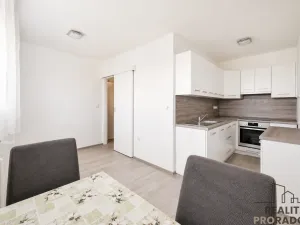 Prodej bytu 2+1, Pardubice - Zelené Předměstí, Palackého třída, 69 m2