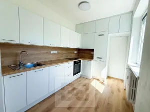 Pronájem bytu 2+kk, Plzeň, Pod Švabinami, 60 m2