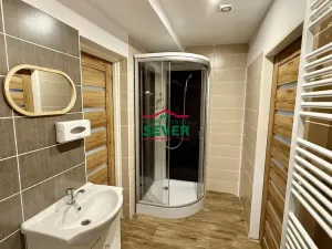 Prodej rodinného domu, Louny - Nečichy, 220 m2