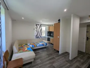 Pronájem bytu 1+1, Meziboří, Prokopa Holého, 34 m2