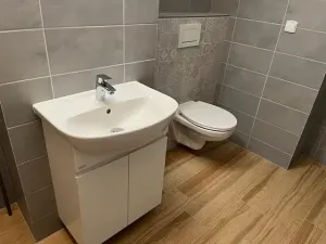 Pronájem bytu 2+1, Hradec Králové, Krunertova, 106 m2