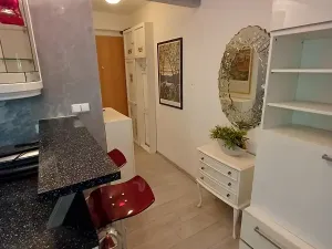 Pronájem bytu 1+kk, Praha - Podolí, Brabcova, 44 m2