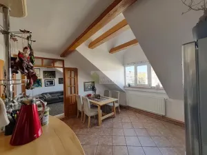 Prodej bytu 4+1, Praha - Dejvice, 142 m2