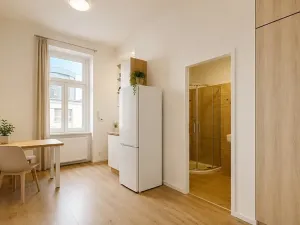 Pronájem bytu 2+kk, Praha - Nusle, Boleslavova, 37 m2