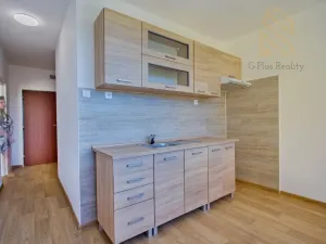 Prodej bytu 2+1, Chomutov, Holešická, 62 m2