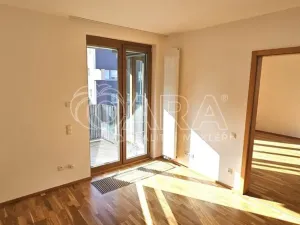 Pronájem bytu 2+kk, Praha - Žižkov, Olgy Havlové, 50 m2