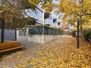 Pronájem bytu 2+kk, Praha - Žižkov, Olgy Havlové, 50 m2