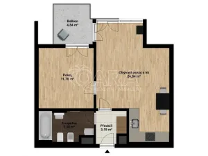Pronájem bytu 2+kk, Praha - Žižkov, Olgy Havlové, 50 m2