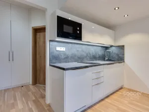 Pronájem bytu 1+kk, Praha - Smíchov, Radlická, 21 m2