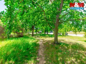 Prodej bytu 3+1, Praha - Prosek, Prosecká, 69 m2