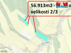 Prodej louky, Stárkov - Bystré, 121606 m2
