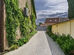 Prodej rodinného domu, Týnec nad Labem - Vinařice, 384 m2