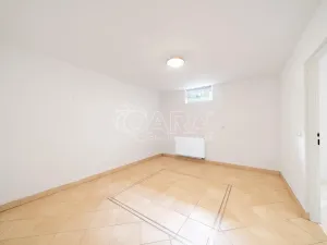 Prodej rodinného domu, Týnec nad Labem - Vinařice, 384 m2
