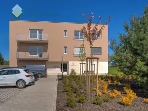 Pronájem - jiné, Chlumec nad Cidlinou, Rooseveltova, 18 m2