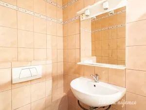 Pronájem bytu 2+1, Praha - Vršovice, U Slavie, 54 m2