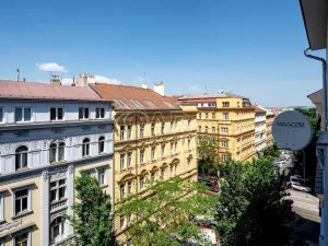 Prodej bytu 2+kk, Praha - Vinohrady, Šumavská, 60 m2