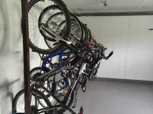 Pronájem bytu 3+kk, Nové Město nad Metují, Malecí, 57 m2