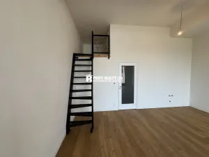 Pronájem bytu 1+kk, Praha - Žižkov, Malešická, 50 m2