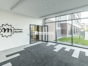 Pronájem bytu 1+kk, Praha - Žižkov, Malešická, 50 m2
