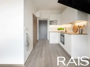 Prodej bytu 2+kk, Brno, Koliště, 66 m2