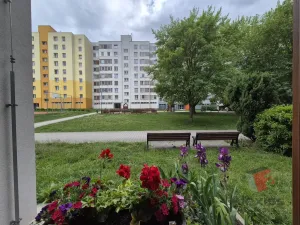 Prodej bytu 3+1, Veselí nad Lužnicí - Veselí nad Lužnicí I, Blatské sídliště, 78 m2