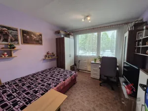 Prodej bytu 3+1, Veselí nad Lužnicí - Veselí nad Lužnicí I, Blatské sídliště, 78 m2